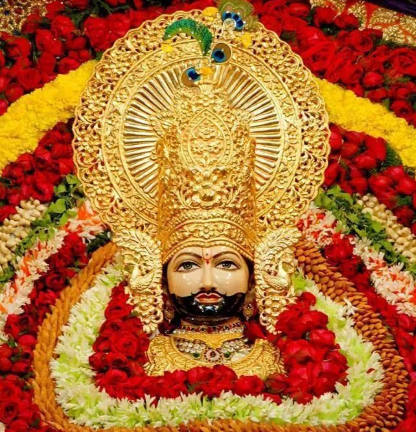 udaipur tour packages