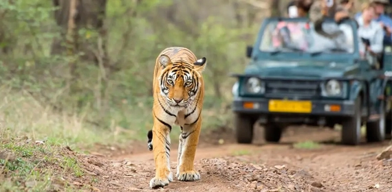 jaipur tour packages