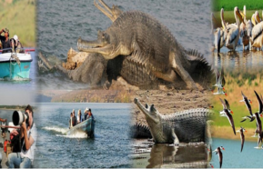 Golden Triangle Trip