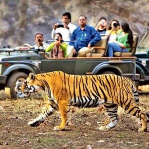 Historical Rajasthan Trip Day 4