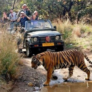 Historical Rajasthan Trip Day 4