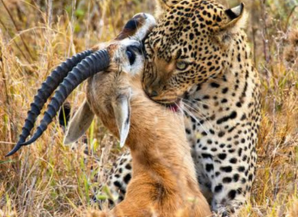 How to Choose the Right Rajasthan Tour Package