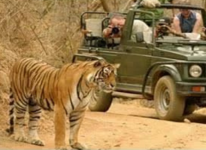 Best Season To Visit Rajasthan