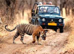 Best Season To Visit Rajasthan