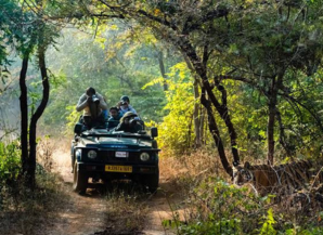 Best Season To Visit Rajasthan