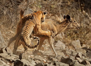 Best Season To Visit Rajasthan