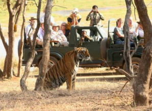 Best Season To Visit Rajasthan