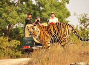 Places to visit in RAJASTHAN