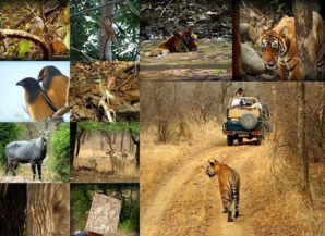 Best Season To Visit Rajasthan