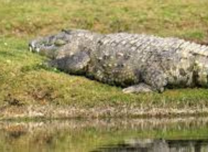 How to Choose the Right Rajasthan Tour Package