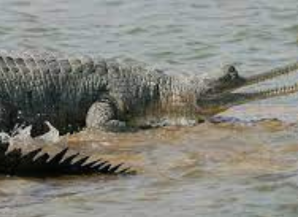 The Ultimate Guide to the Land of Kings