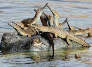 Places to visit in RAJASTHAN