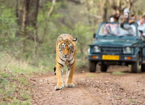 Best Season To Visit Rajasthan