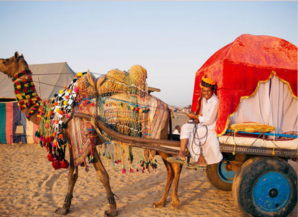 Best Season To Visit Rajasthan