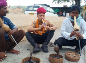 Best Season To Visit Rajasthan