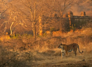 Best Season To Visit Rajasthan