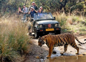 Best Season To Visit Rajasthan