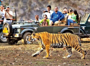 Best Season To Visit Rajasthan