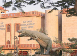 Best Season To Visit Rajasthan